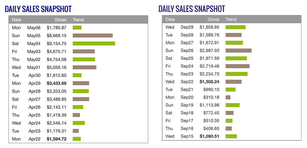 Daily Sales Snapshot